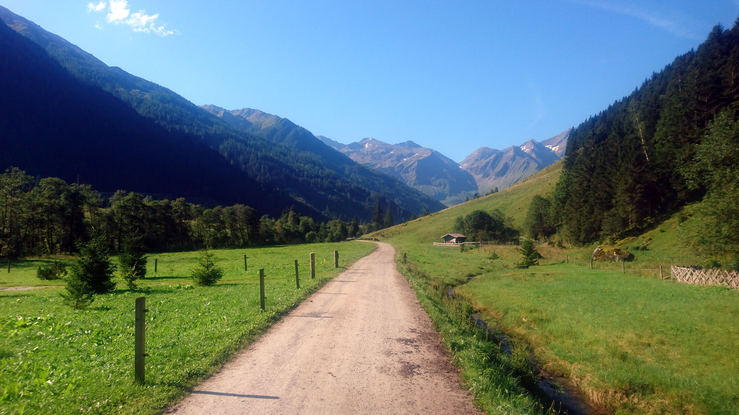 Im Käfertal